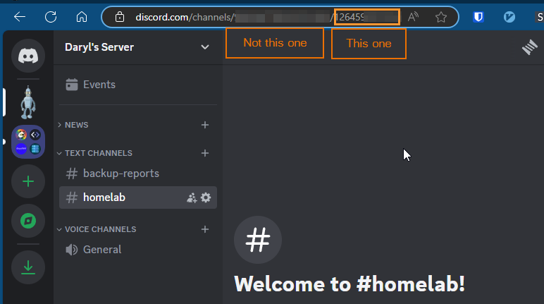 Where to Find the URL